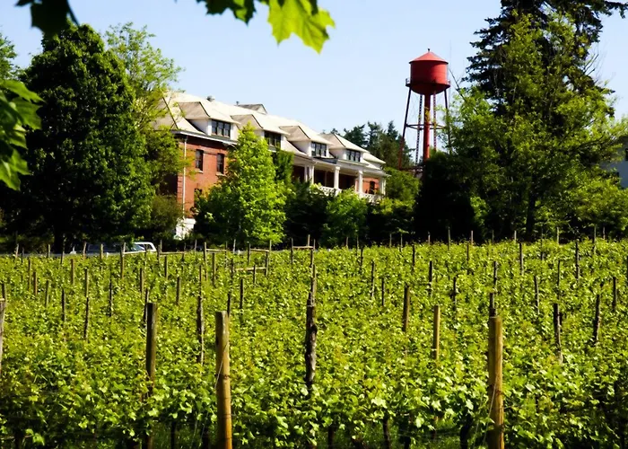 Mcmenamins Edgefield